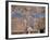 The Crucifixion-Cimabue-Framed Photographic Print