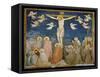 The Crucifixion-Giotto di Bondone-Framed Stretched Canvas