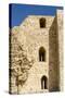 The crusader fort of Kerak Castle, Kerak, Jordan.-Nico Tondini-Stretched Canvas