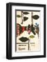 The Cucumber Hero-Okurkovy-null-Framed Premium Giclee Print