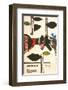 The Cucumber Hero-Okurkovy-null-Framed Premium Giclee Print