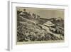 The Cultivation in India, a Tea-Garden on the Borders of Nepaul-null-Framed Giclee Print