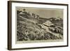 The Cultivation in India, a Tea-Garden on the Borders of Nepaul-null-Framed Giclee Print