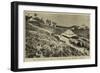 The Cultivation in India, a Tea-Garden on the Borders of Nepaul-null-Framed Giclee Print