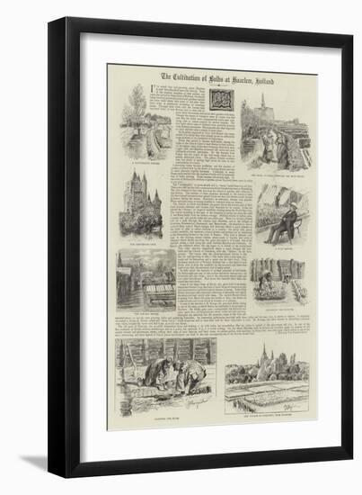 The Cultivation of Bulbs at Haarlem, Holland-null-Framed Giclee Print