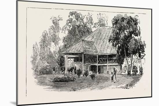 The Cultivation of Tobacco in Sumatra, Indonesia: a Planter's House, 1890-null-Mounted Giclee Print