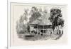 The Cultivation of Tobacco in Sumatra, Indonesia: a Planter's House, 1890-null-Framed Giclee Print