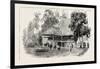 The Cultivation of Tobacco in Sumatra, Indonesia: a Planter's House, 1890-null-Framed Giclee Print