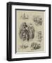 The Cup at the Lyceum Theatre-John Jellicoe-Framed Giclee Print