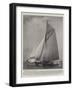 The Cup Challenger Shamrock Leaving Her Moorings-null-Framed Giclee Print