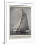 The Cup Challenger Shamrock Leaving Her Moorings-null-Framed Giclee Print