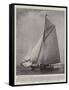 The Cup Challenger Shamrock Leaving Her Moorings-null-Framed Stretched Canvas