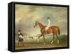 The Cur Chestnut Racehorse with Jockey Up on Newmarket Heath-John E. Ferneley-Framed Stretched Canvas