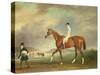 The Cur Chestnut Racehorse with Jockey Up on Newmarket Heath-John E. Ferneley-Stretched Canvas