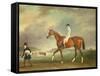The Cur Chestnut Racehorse with Jockey Up on Newmarket Heath-John E. Ferneley-Framed Stretched Canvas