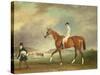 The Cur Chestnut Racehorse with Jockey Up on Newmarket Heath-John E. Ferneley-Stretched Canvas