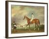 The Cur Chestnut Racehorse with Jockey Up on Newmarket Heath-John E. Ferneley-Framed Giclee Print