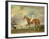 The Cur Chestnut Racehorse with Jockey Up on Newmarket Heath-John E. Ferneley-Framed Giclee Print