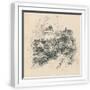 White Frame