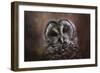 The Curious Owl-Jai Johnson-Framed Giclee Print