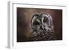 The Curious Owl-Jai Johnson-Framed Giclee Print