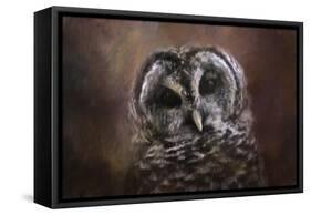 The Curious Owl-Jai Johnson-Framed Stretched Canvas