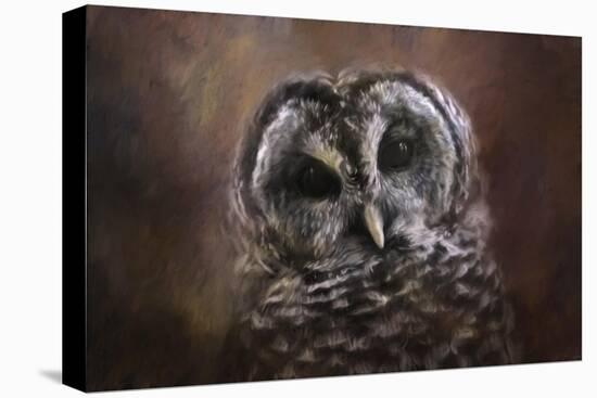 The Curious Owl-Jai Johnson-Stretched Canvas