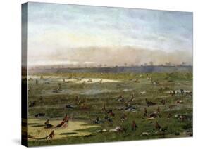 The Curupayty Battlefield, September 22, 1866-Carl Bogh-Stretched Canvas