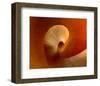 The Curve-null-Framed Art Print