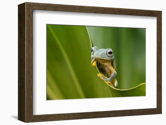 The Curve-Dikky Oesin-Framed Photographic Print