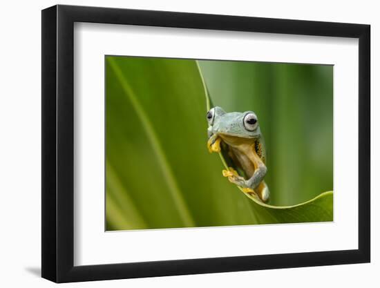 The Curve-Dikky Oesin-Framed Photographic Print