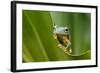 The Curve-Dikky Oesin-Framed Photographic Print