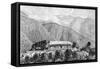 The Cussillani Hacienda, Yungas, Bolivia, 1895-null-Framed Stretched Canvas