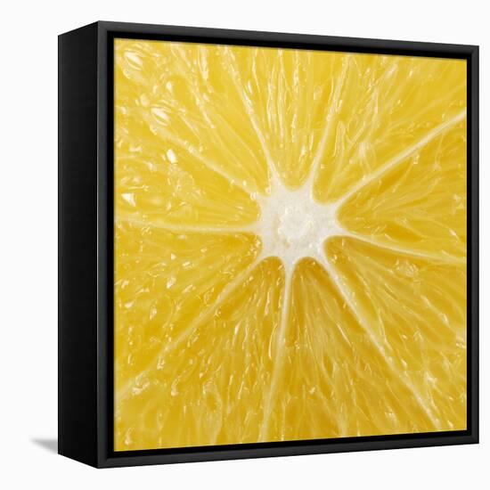 The Cut Surface of a Lemon-null-Framed Stretched Canvas