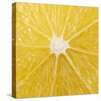 The Cut Surface of a Lemon-null-Stretched Canvas