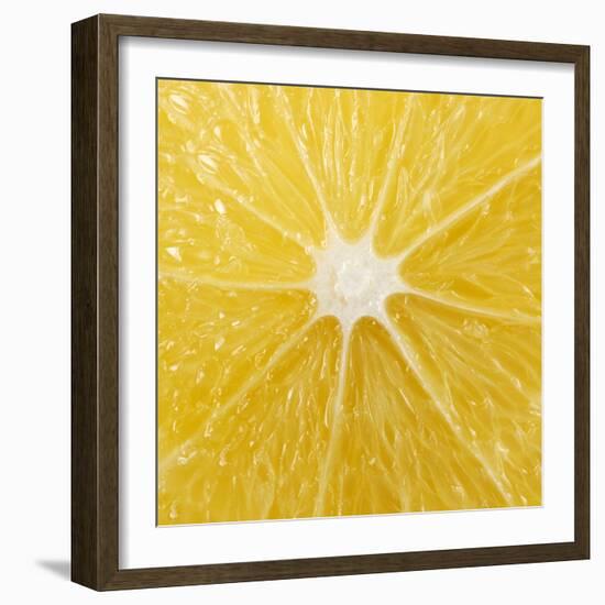 The Cut Surface of a Lemon-null-Framed Photographic Print