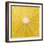 The Cut Surface of a Lemon-null-Framed Photographic Print