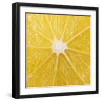 The Cut Surface of a Lemon-null-Framed Photographic Print