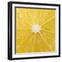 The Cut Surface of a Lemon-null-Framed Photographic Print