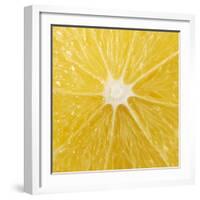 The Cut Surface of a Lemon-null-Framed Photographic Print