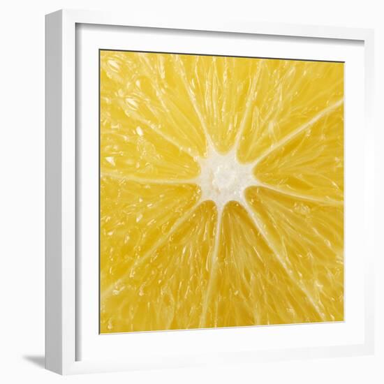 The Cut Surface of a Lemon-null-Framed Photographic Print