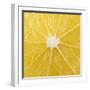 The Cut Surface of a Lemon-null-Framed Photographic Print