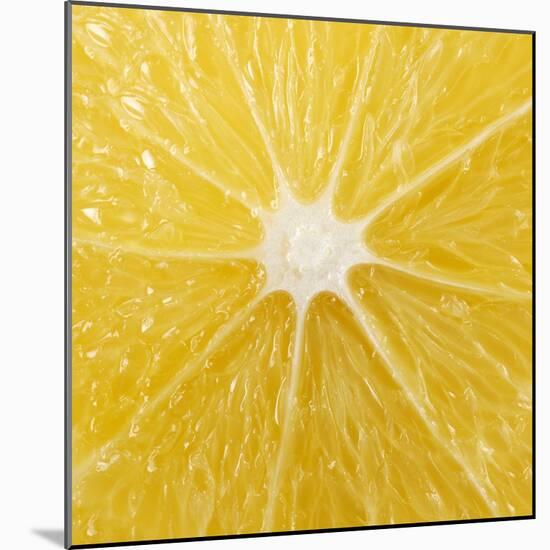 The Cut Surface of a Lemon-null-Mounted Photographic Print