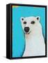 The Cute Polar Bear-Lucia Stewart-Framed Stretched Canvas