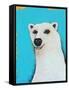 The Cute Polar Bear-Lucia Stewart-Framed Stretched Canvas