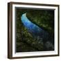 The Cutwater Fusterclunk-Trevor Alyn-Framed Photographic Print