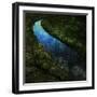 The Cutwater Fusterclunk-Trevor Alyn-Framed Photographic Print