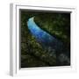 The Cutwater Fusterclunk-Trevor Alyn-Framed Photographic Print