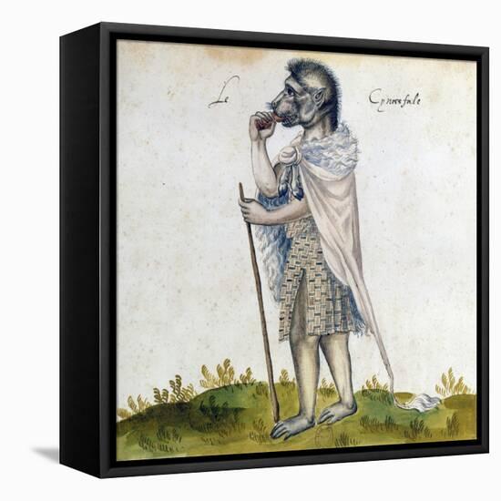 The Cynoscephalus, 15th Century-null-Framed Stretched Canvas