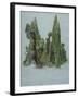 The Cypresses at the Villa D'Este, Tivoli (W/C and Gouache with Graphite on Paper)-Samuel Palmer-Framed Giclee Print